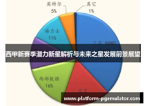 西甲新赛季潜力新星解析与未来之星发展前景展望