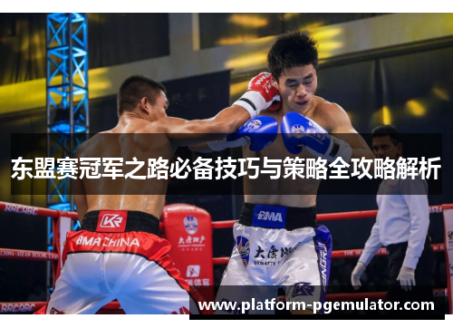 东盟赛冠军之路必备技巧与策略全攻略解析