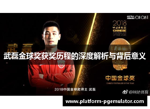 武磊金球奖获奖历程的深度解析与背后意义