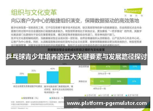 乒乓球青少年培养的五大关键要素与发展路径探讨