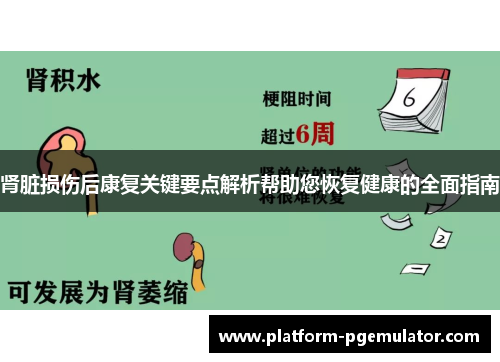 肾脏损伤后康复关键要点解析帮助您恢复健康的全面指南