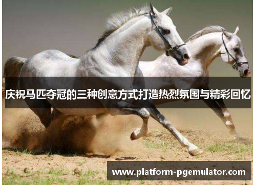 庆祝马匹夺冠的三种创意方式打造热烈氛围与精彩回忆