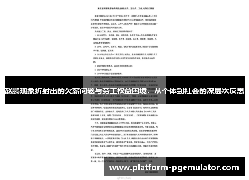 赵鹏现象折射出的欠薪问题与劳工权益困境：从个体到社会的深层次反思