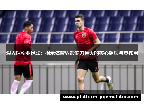 深入探索亚足联：揭示体育界影响力巨大的核心组织与其作用