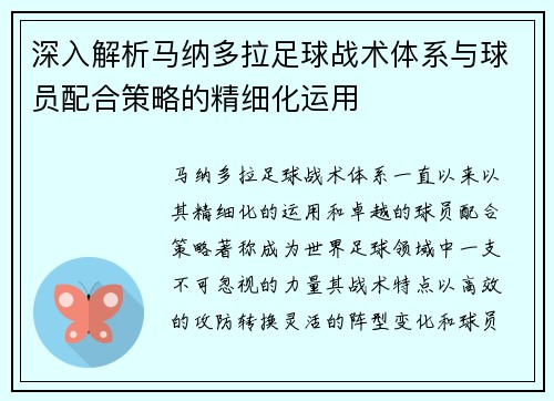 深入解析马纳多拉足球战术体系与球员配合策略的精细化运用