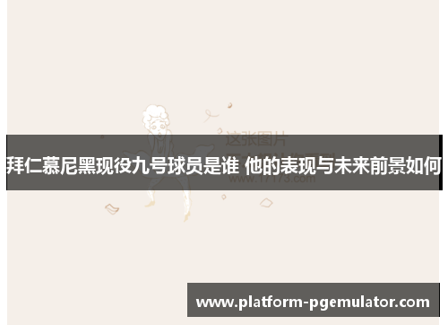 拜仁慕尼黑现役九号球员是谁 他的表现与未来前景如何
