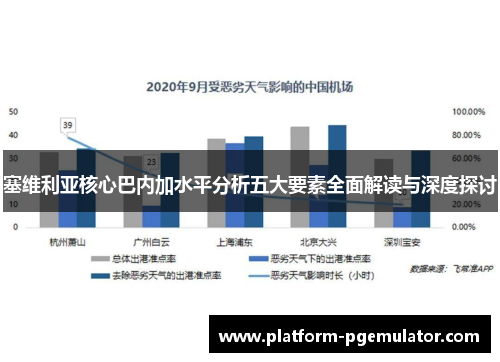 塞维利亚核心巴内加水平分析五大要素全面解读与深度探讨