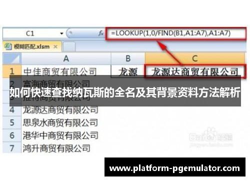 如何快速查找纳瓦斯的全名及其背景资料方法解析