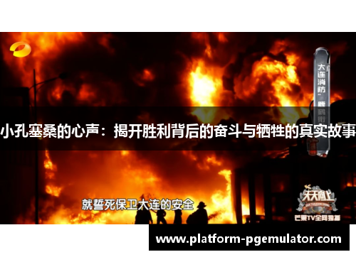 小孔塞桑的心声：揭开胜利背后的奋斗与牺牲的真实故事