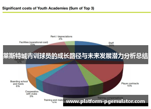 莱斯特城青训球员的成长路径与未来发展潜力分析总结